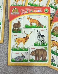 Рамки-вкладиші МОНТЕССОРІ Дикі тварини та Овочі України