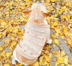 Свитер одежда для собак французский бульдог мопс реглан джемпер комбинезон