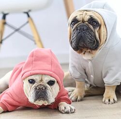 Толстовка худи кофта реглан одежда для собак французского бульдога мопса 