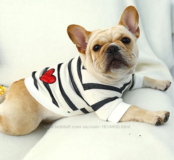 Реглан футболка одежда для собак французский бульдог мопс вест-хайленд корг