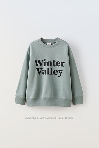 Утеплений світшот толстовка кофта Zara 