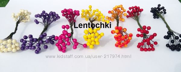 Ягодки калины глянцевые