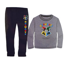 Піжама лонгслів і штани для хлопчика Disney Harry Potter 20748044 Різнобарвний