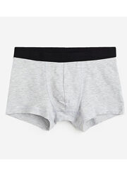 Трусики -боксери для хлопчика H&M 0713824004 сірий