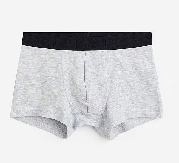 Трусики -боксери для хлопчика H&M 0767123-100 сірий