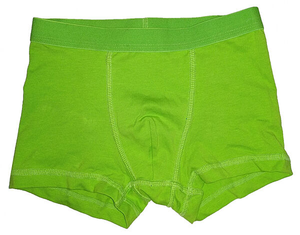 Трусики -боксери для хлопчика H&M 0785948021 зелений