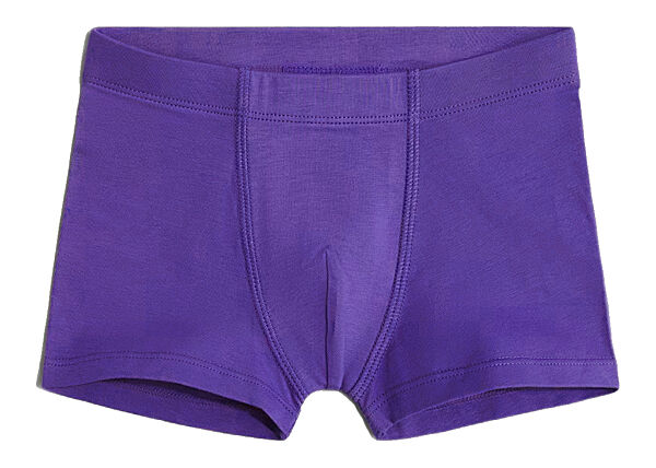 Трусики -боксери для хлопчика H&M 1010214-0 синій