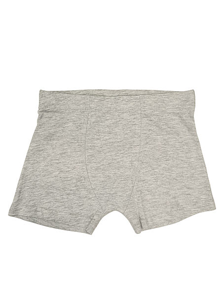 Трусики -боксери для хлопчика Primark BDO93299 сірий