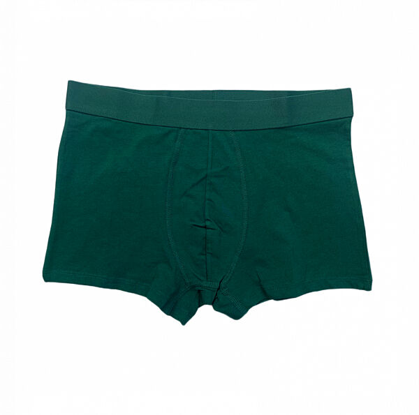 Труси -боксери для чоловіка Livergy by Esmara men 483989 зелений