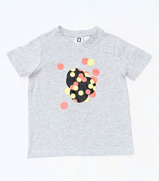 Футболка бавовняна з принтом для хлопчика Lidl UEFA 458293 сірий