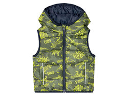 Теплий жилет на флісовій підкладці для хлопчика Lupilu BIONIC-FINISH ECO 382082 хакі