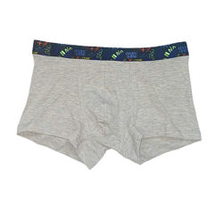 Трусики -боксери для хлопчика H&M 0713774-0 сірий