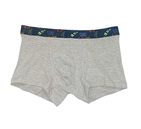 Трусики -боксери для хлопчика H&M 0713774-0 сірий