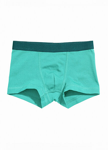 Трусики -боксери для хлопчика H&M 0713774-028 бірюза