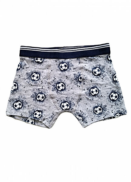 Трусики -боксери для хлопчика Primark Cares 9002306 сірий