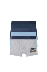 Трусики -боксери набір 3 шт. для хлопчика Lupilu Динозавр 387246 Різнобарвний