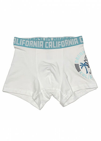 Трусики -боксери для хлопчика H&M 0713774 білий