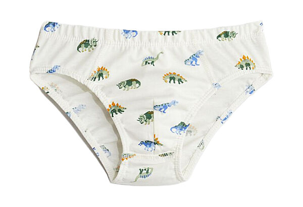Трусики сліпи для хлопчика H&M Динозавр 1183018-005 молочний