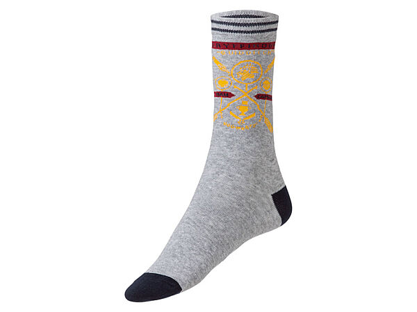 Шкарпетки трикотаж бавовняні високі для чоловіка Disney Harry Potter 390443 сірий