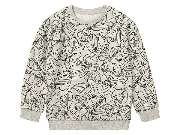 Світшот двунитка для хлопчика Disney Looney Tunes 442009 сірий