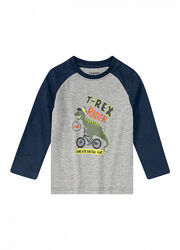 Футболка-лонгслів бавовняний для хлопчика Lupilu Динозавр 382095 сірий