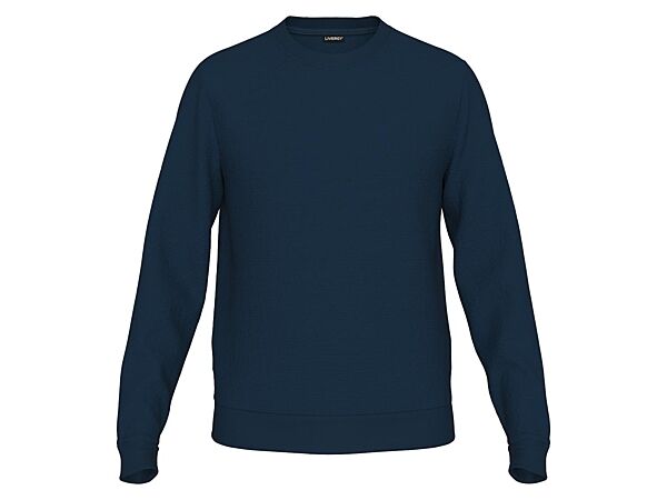 Джемпер вафельної текстури для чоловіка Livergy LIDL 463989 темно-синій