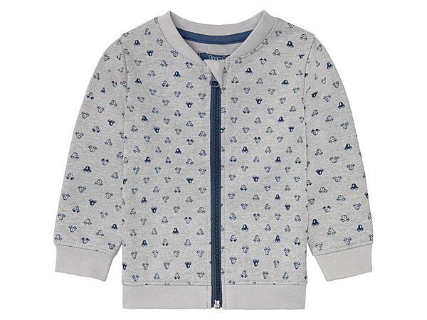 Толстовка з двунитки для хлопчика Lupilu LIDL 372601 сірий
