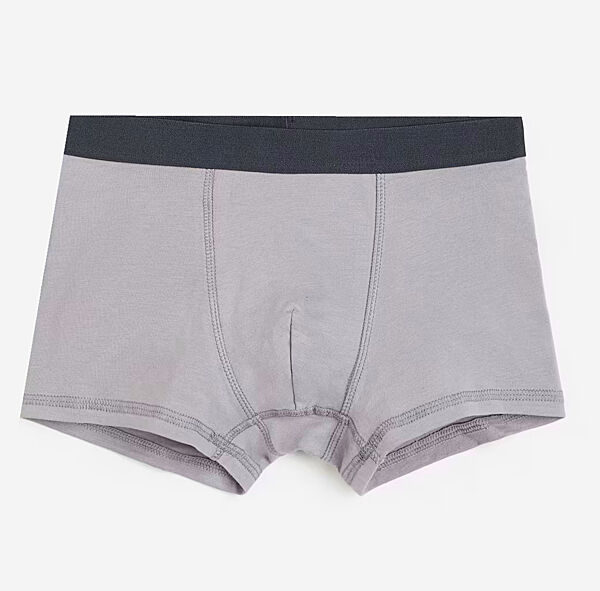 Трусики -боксери для хлопчика H&M 0589520-031 сірий