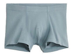 Трусики -боксери для хлопчика H&M 1010214-043 синій