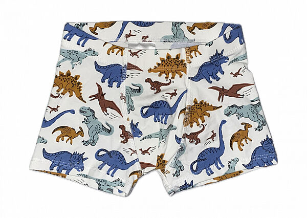 Трусики -боксери для хлопчика H&M 1010214-020 Різнобарвний