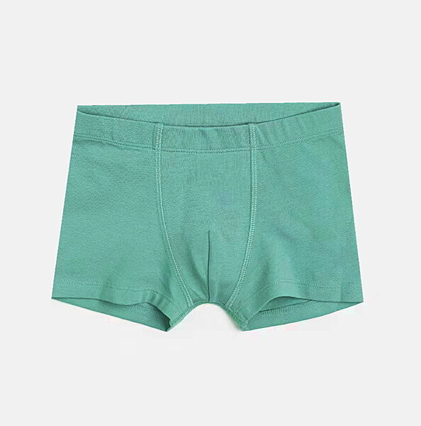 Трусики -боксери однотонні для хлопчика H&M 0940432-001 зелений