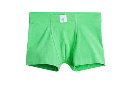 Трусики -боксери для хлопчика H&M 1010214-027 зелений