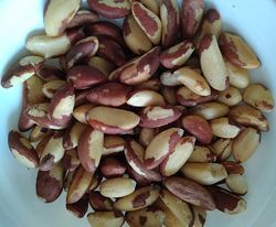 #2: Бразильский орех