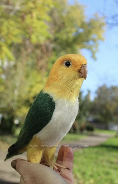 Попугай Каик іграшка валяна з шерсті войлочний папуга ручної роботи птица