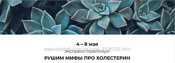 Венера Хабирова Рушим мифы про холестерин 2025