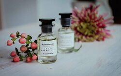  lavavanda. school Введение в натуральную парфюмерию Olga Larnaudie