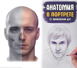 Андрей Марков Анатомия в портрете. Базис 2025 курс