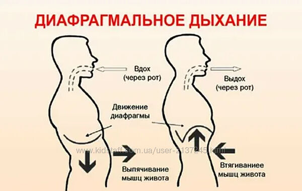 Екатерина Федорова Диафрагмальное дыхание. 3 поток 2022