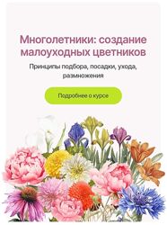 Людмила Гиевая Многолетники создание малоуходных цветников 2025