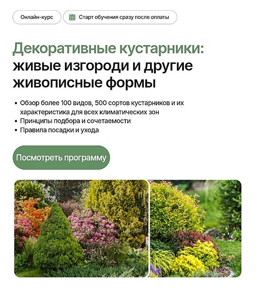 Елена Савич Декоративные кустарники живые изгороди и другие живописные 