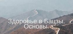Юлия Бальсина Здоровье в Бацзы. Основы 2025