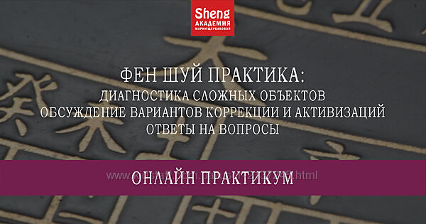 Мария Щербакова Фен шуй практика. Диагностика сложных объектов, обсуждение
