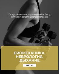 Александр Волоткевич Биомеханика и неврология дыхания. Часть 3 2025