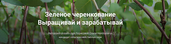 Ольга Борисова Зеленое черенкование. Выращивай и зарабатывай 2025