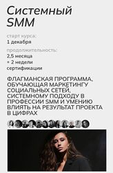 Системный SMM 2025 Тариф Standart Екатерина Гомзова