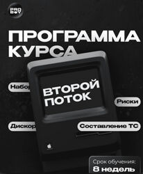 ProBoy Обучение скальпингу от практика 2025 2 потока