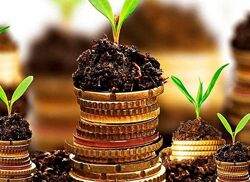 Курсы Ольга Сидорук магия, деньги, свечи, отливки, диагностика, таро