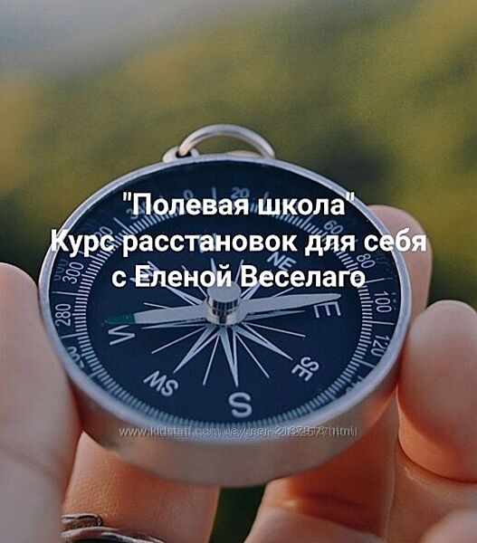 Елена Веселаго Полевая школа. Курс расстановок для себя 2025