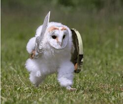 Авитолог 2025 owlsova