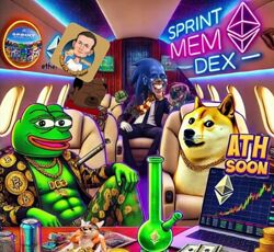 Alpha Dex Academy Sprint Mem Dex 2025.